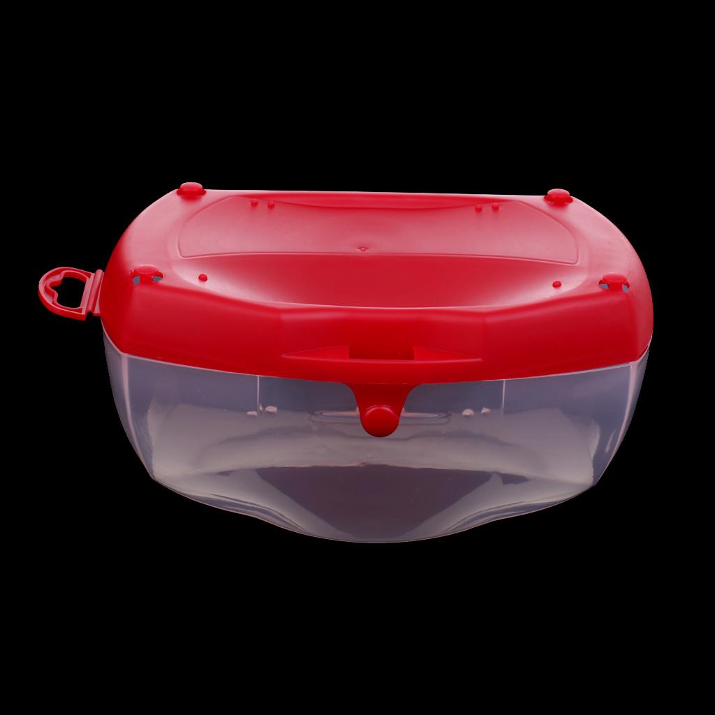 Hard Shell Diving Mask Case Du - đánh giá và giá Mask Case Hard Shell